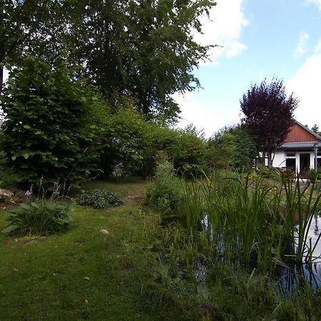 Ferienhaus Wildblick Schleiden Eksteriør bilde