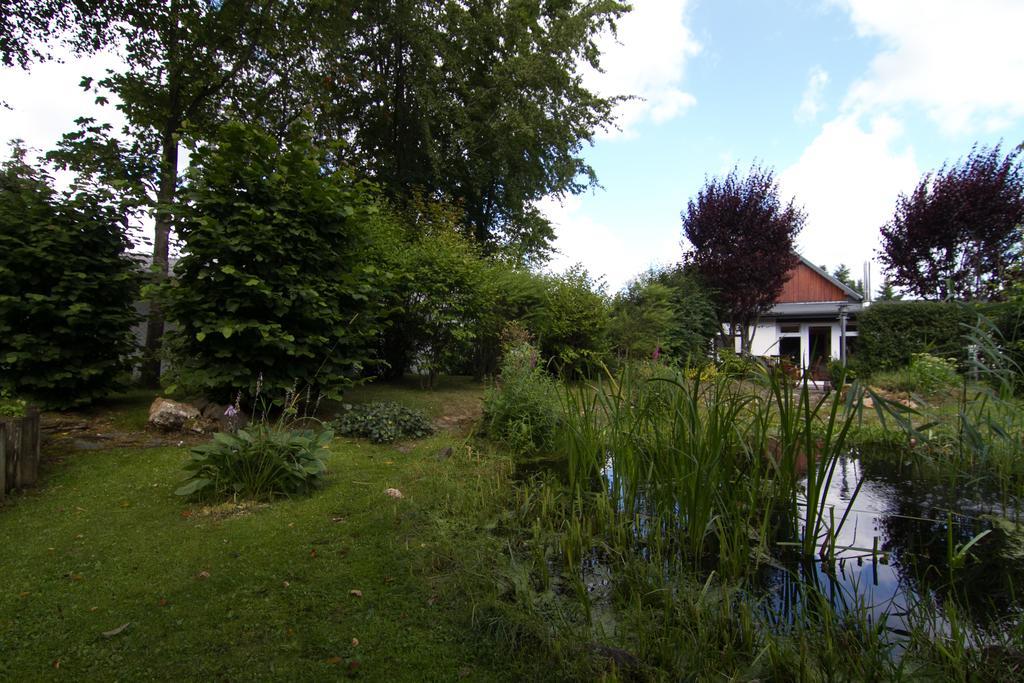 Ferienhaus Wildblick Schleiden Eksteriør bilde
